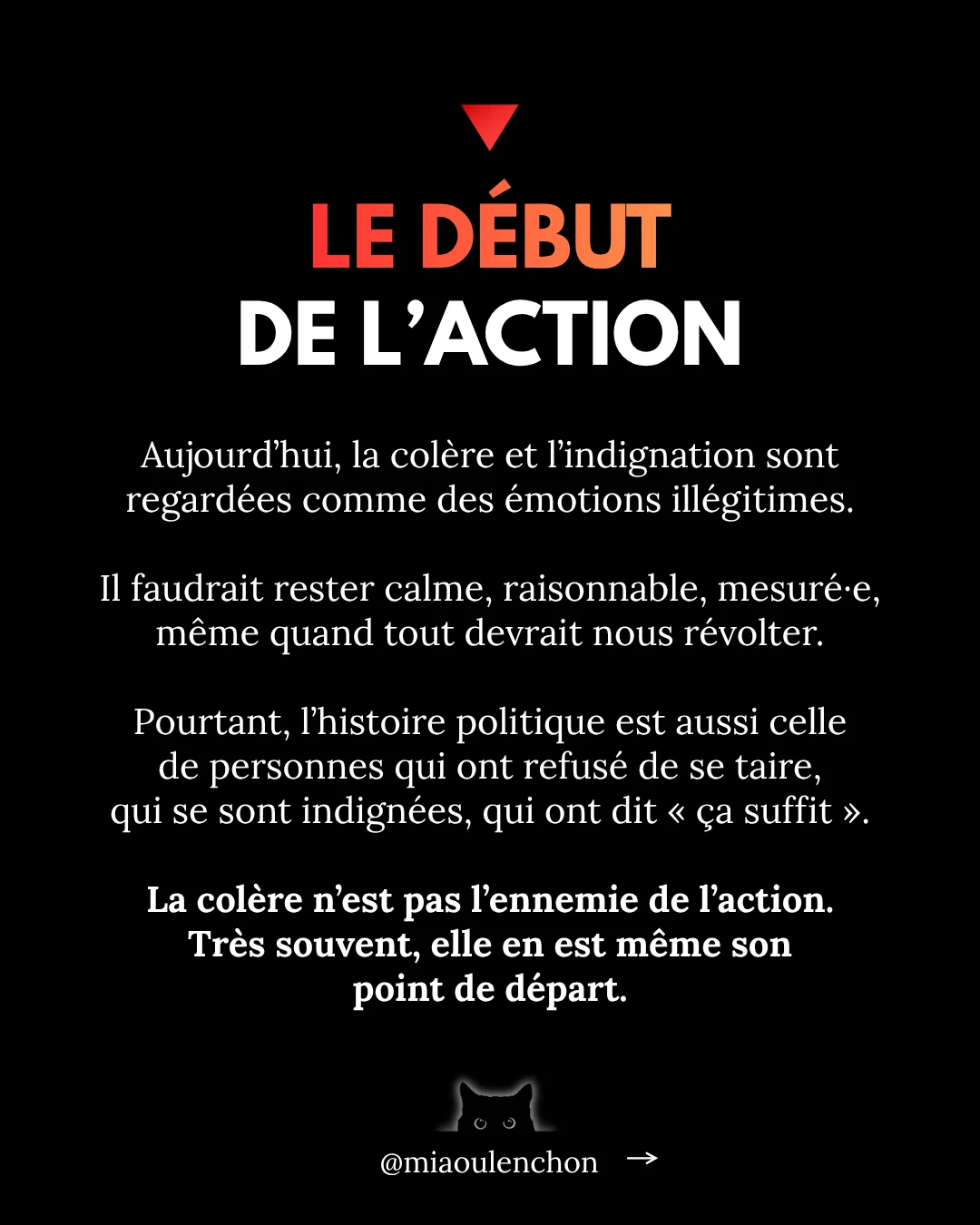 La colère : ce moteur politique essentiel — diapositive 2
