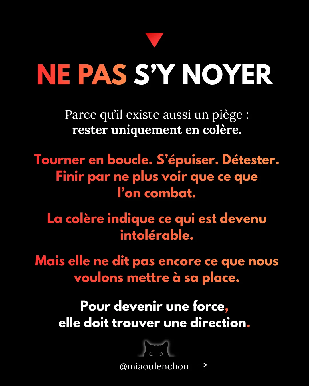 La colère : ce moteur politique essentiel — diapositive 11