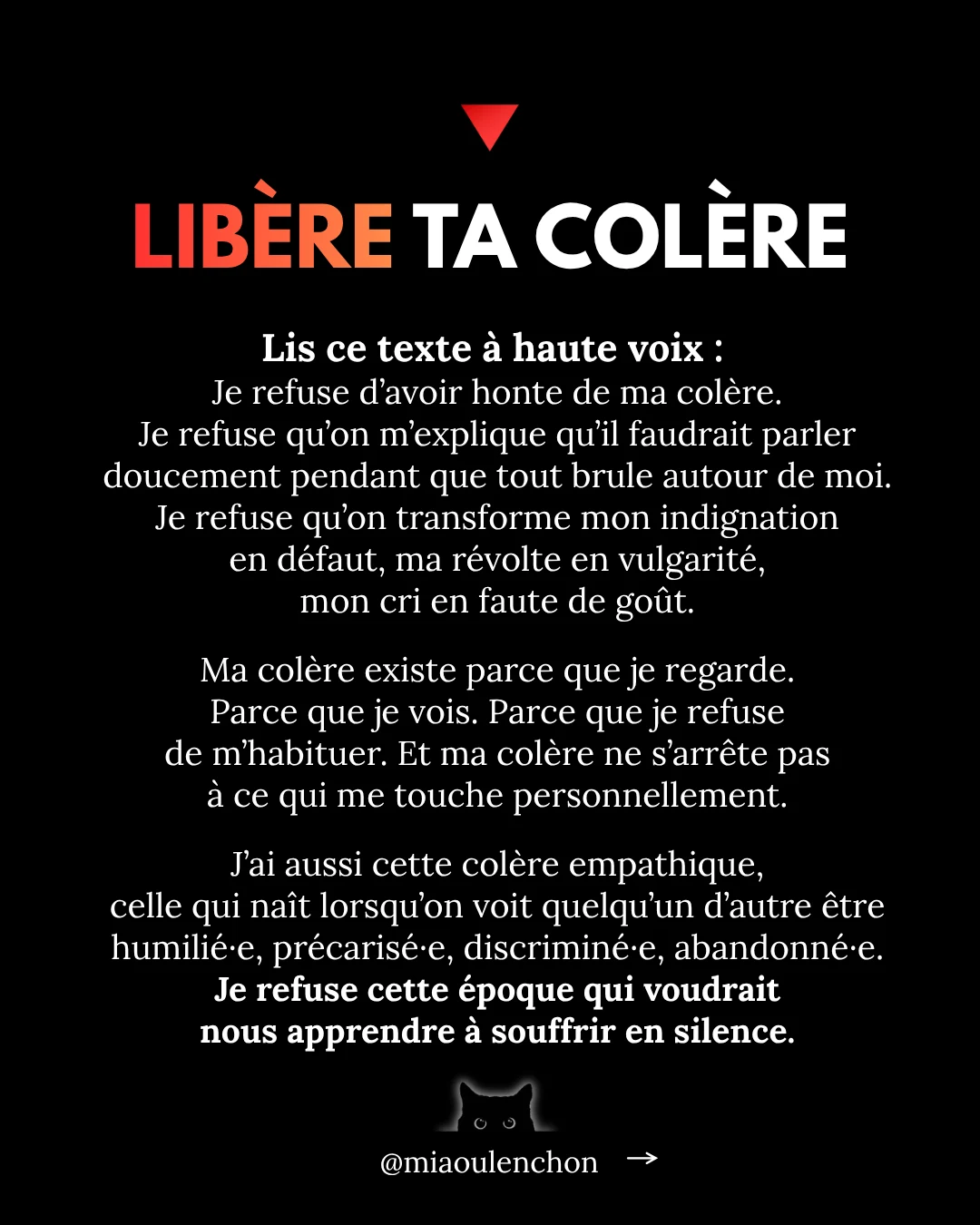 La colère : ce moteur politique essentiel — diapositive 17