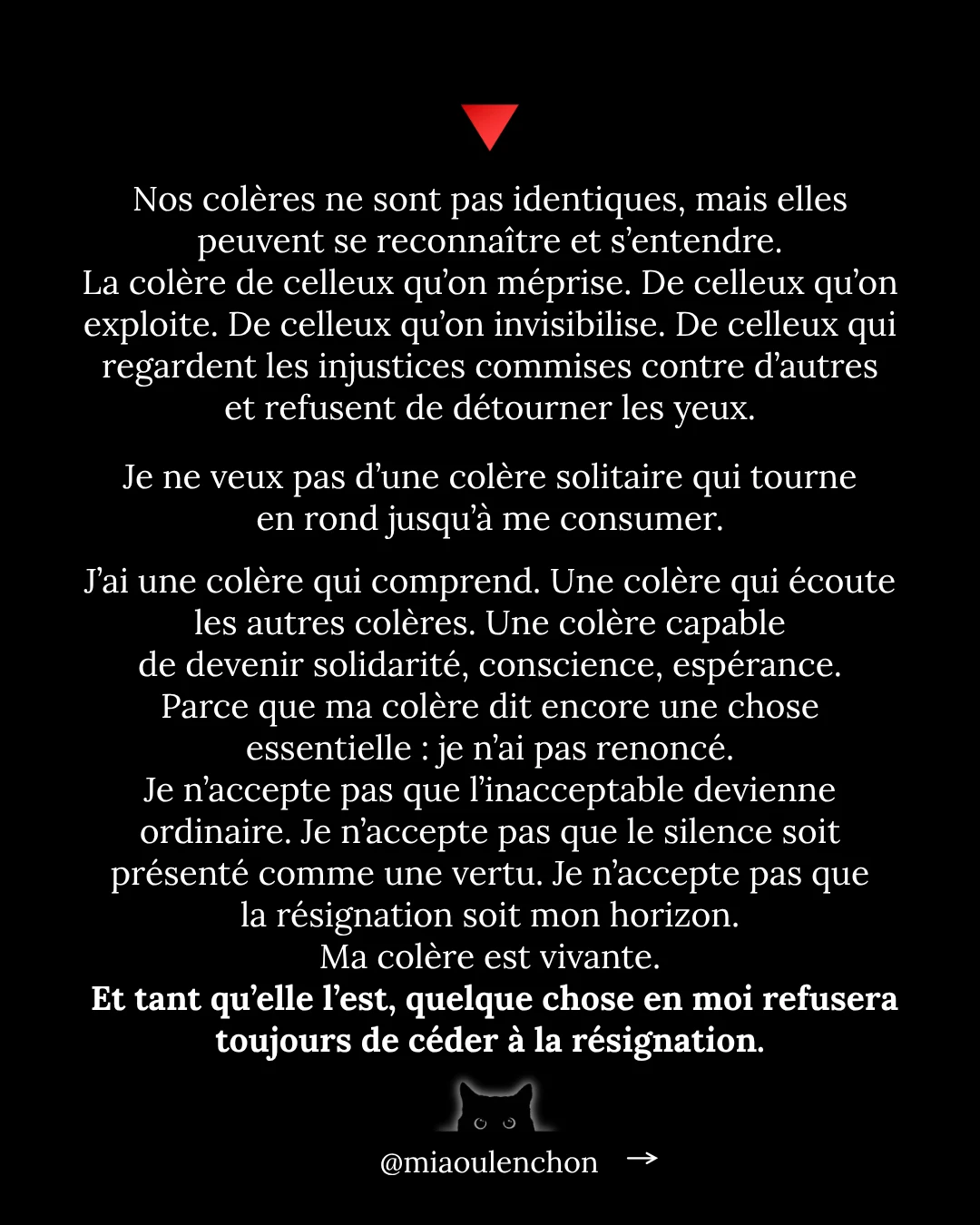 La colère : ce moteur politique essentiel — diapositive 18
