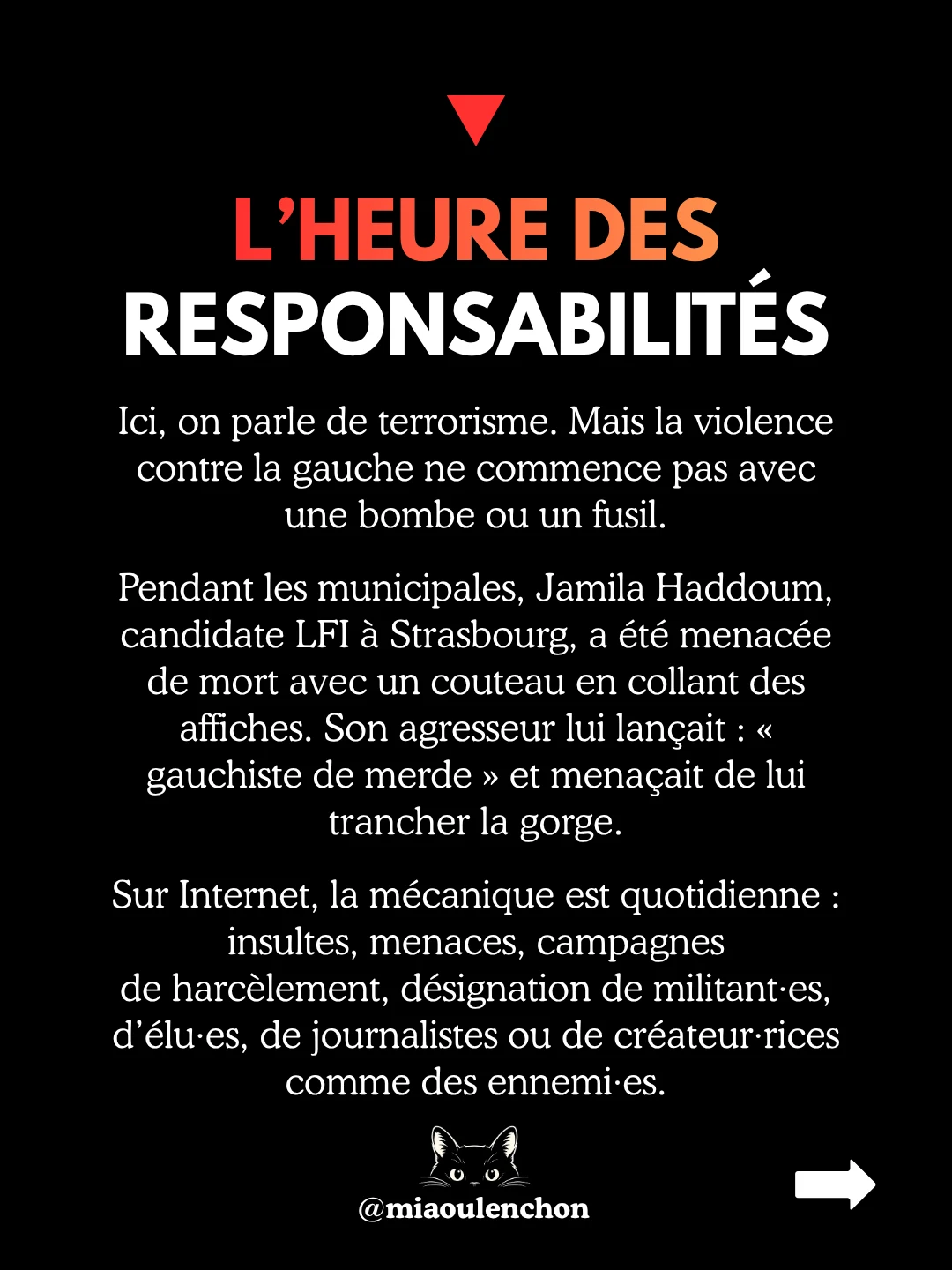 La haine prend les armes — diapositive 17