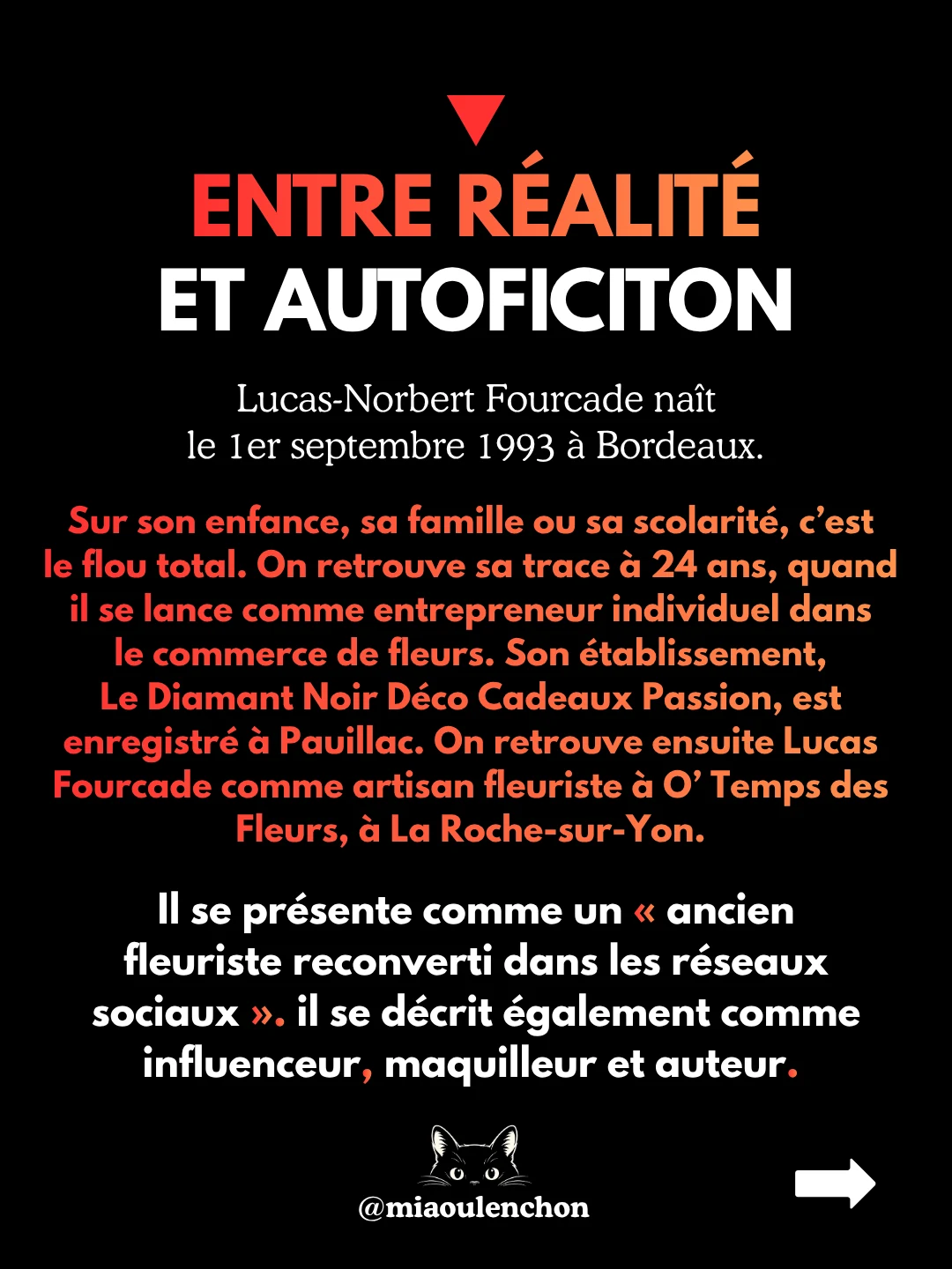 Lucas Fourcade : arnaque, IA et extrême droite — diapositive 3