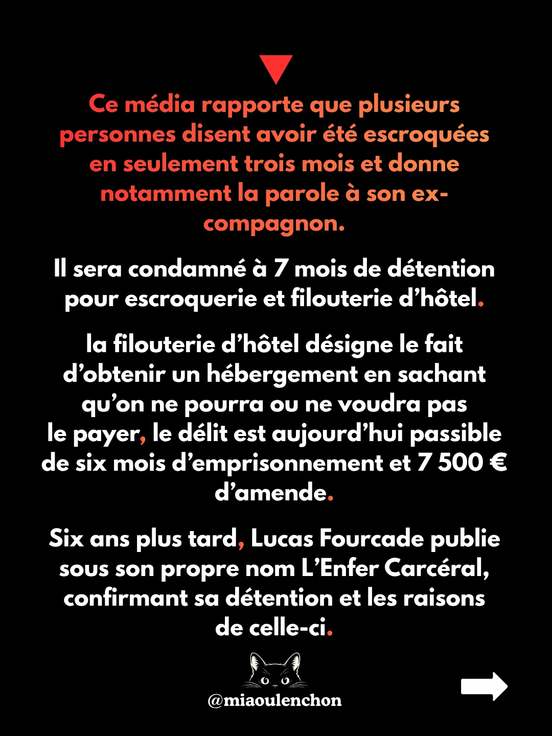 Lucas Fourcade : arnaque, IA et extrême droite — diapositive 5