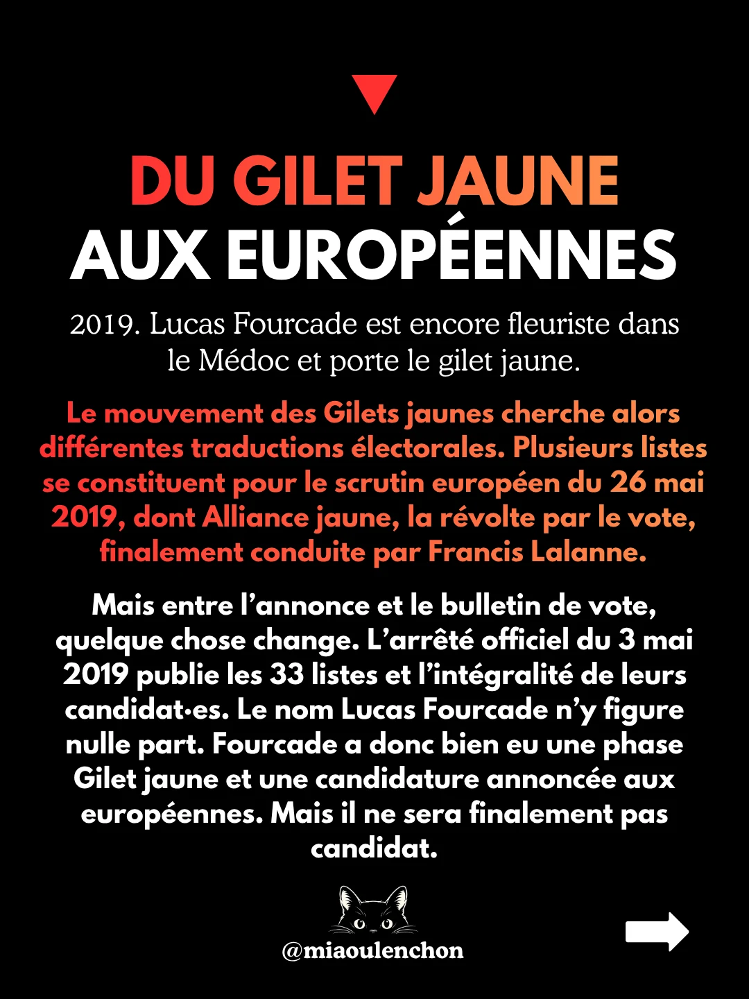 Lucas Fourcade : arnaque, IA et extrême droite — diapositive 6