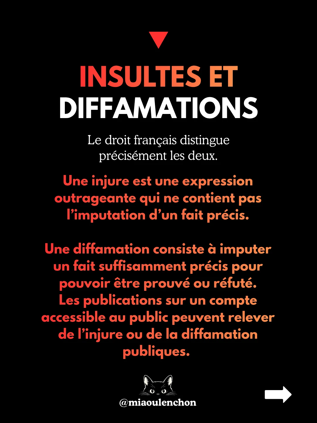 Lucas Fourcade : arnaque, IA et extrême droite — diapositive 13