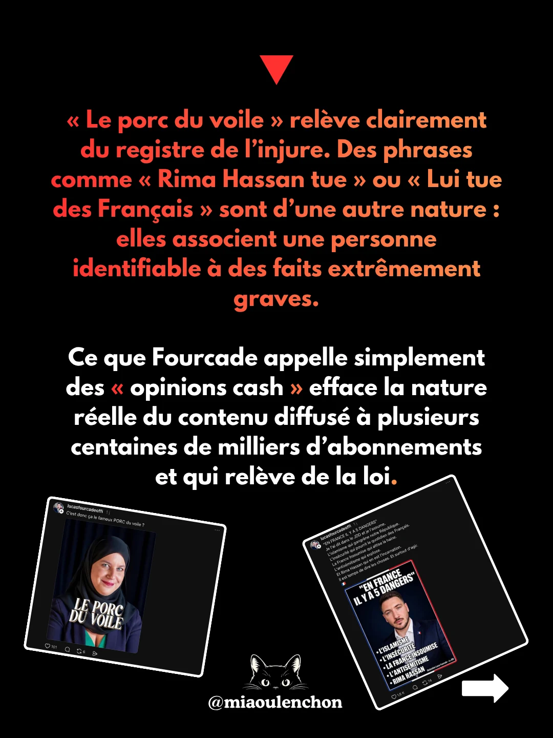 Lucas Fourcade : arnaque, IA et extrême droite — diapositive 14