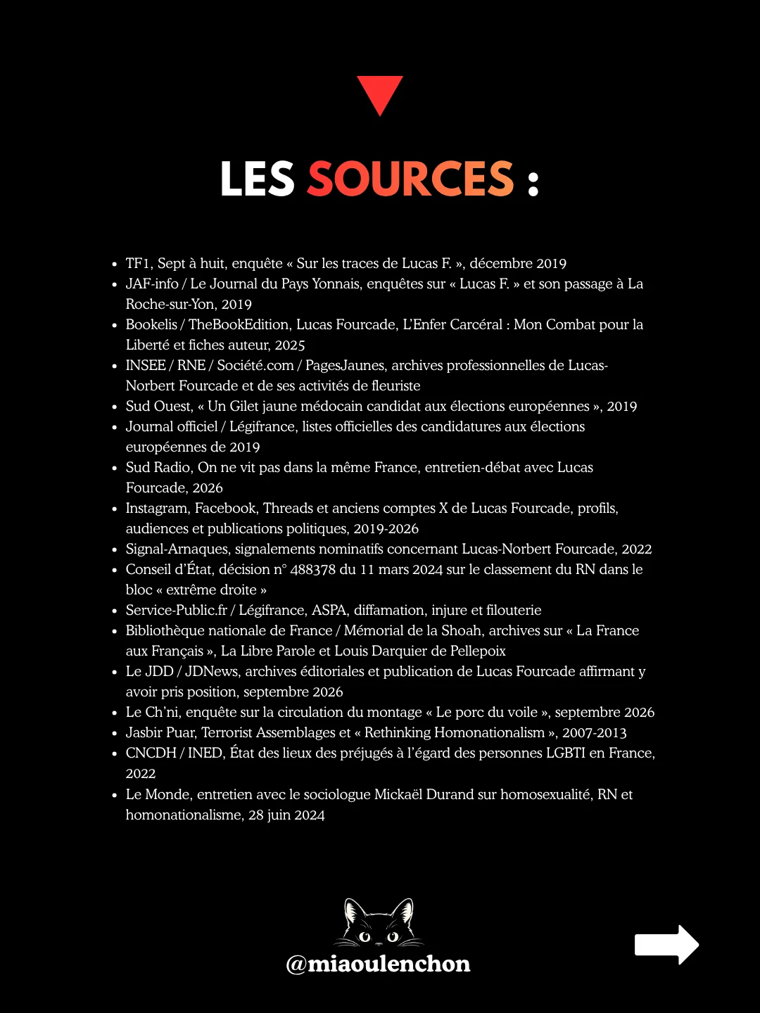 Lucas Fourcade : arnaque, IA et extrême droite — diapositive 19