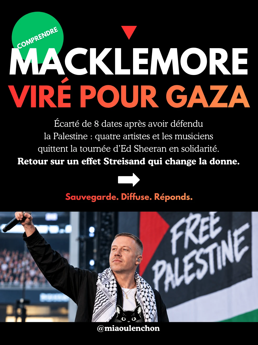 Macklemore : viré pour Gaza — diapositive 1