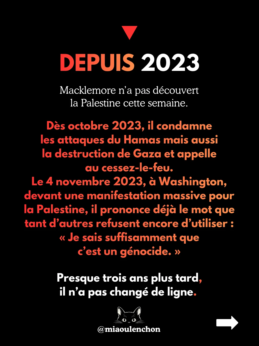 Macklemore : viré pour Gaza — diapositive 2