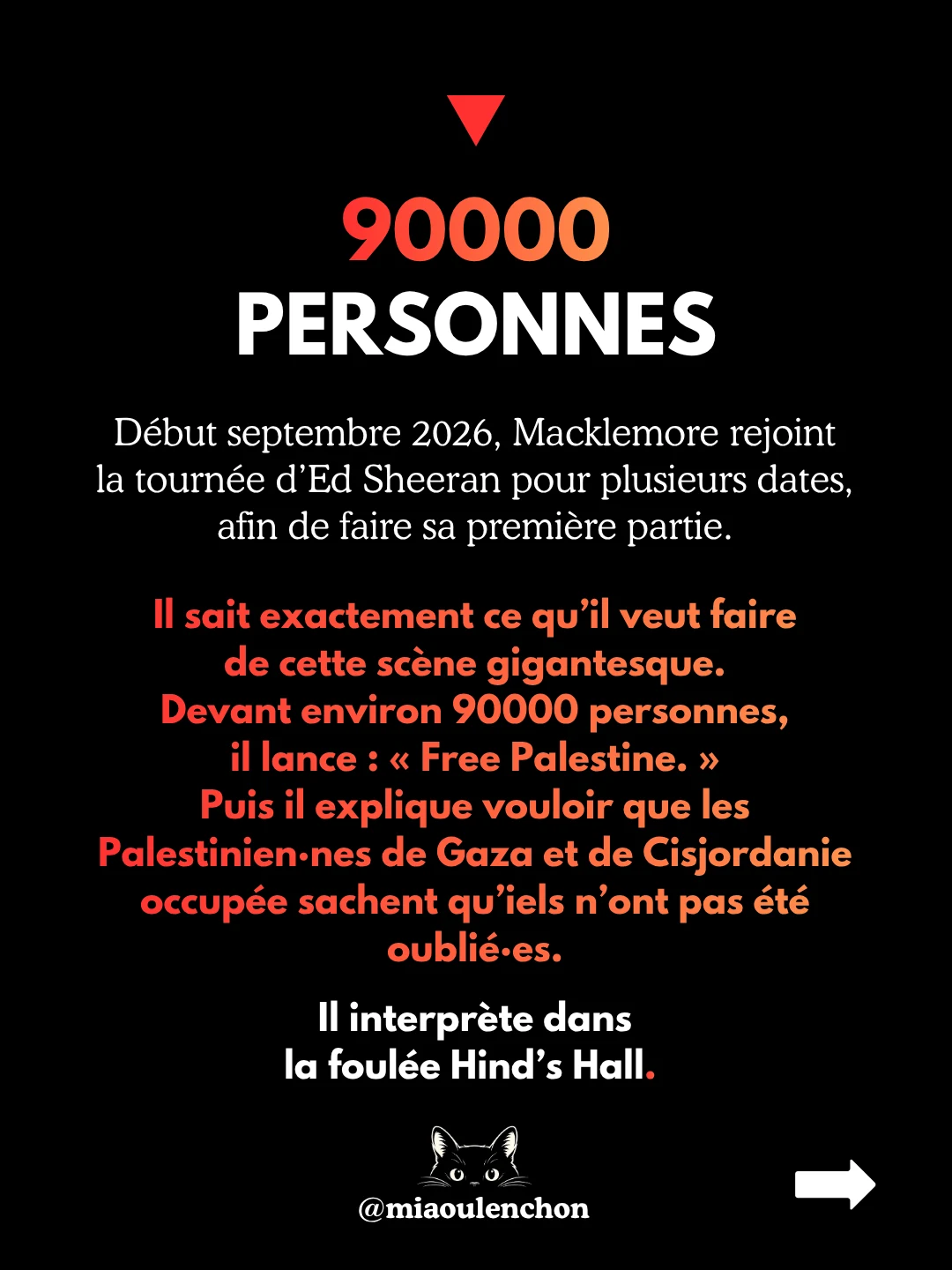 Macklemore : viré pour Gaza — diapositive 4