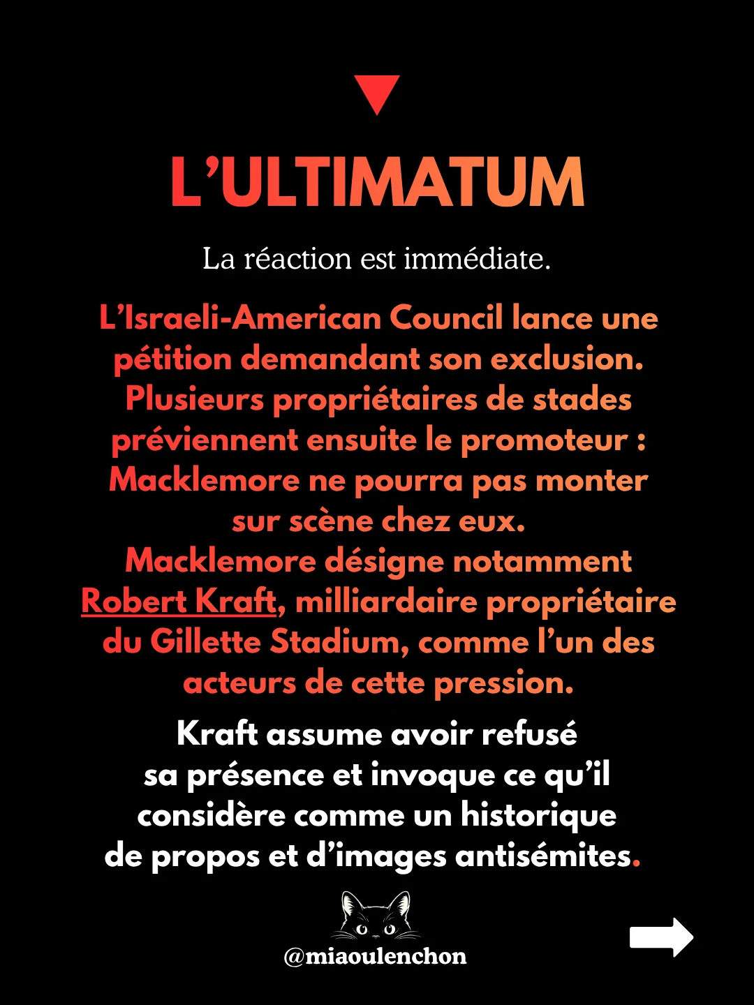 Macklemore : viré pour Gaza — diapositive 5