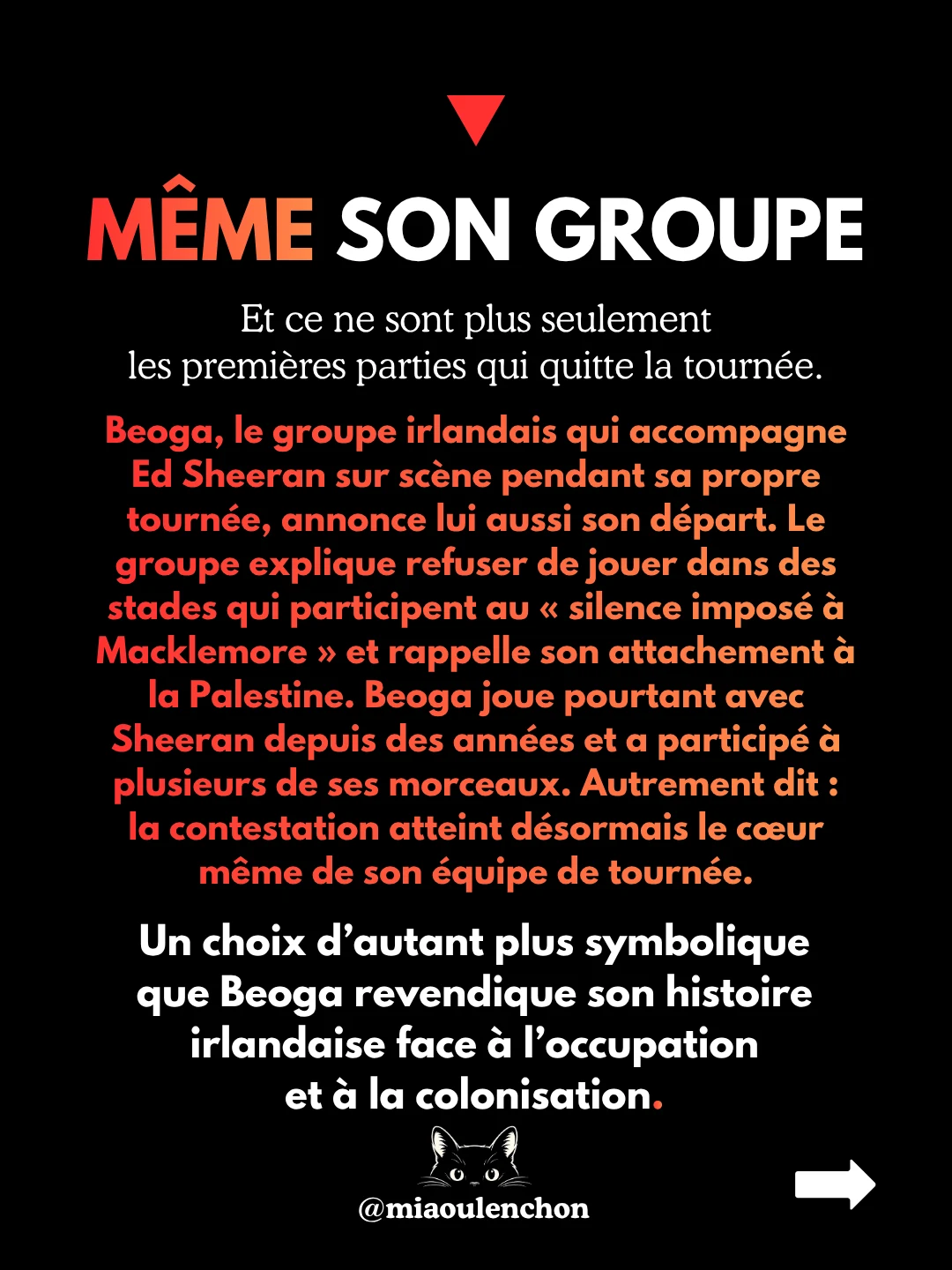 Macklemore : viré pour Gaza — diapositive 9