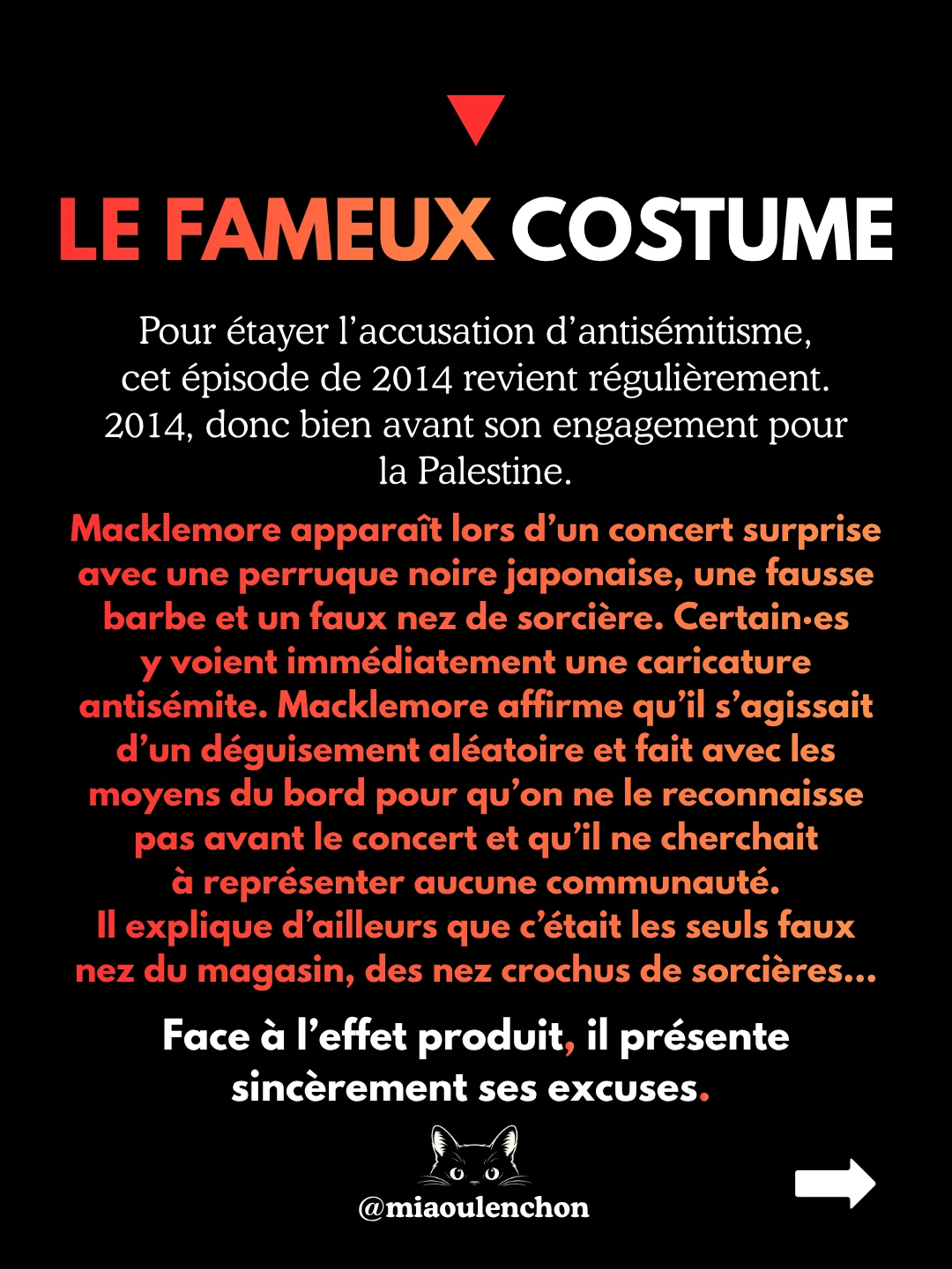 Macklemore : viré pour Gaza — diapositive 14