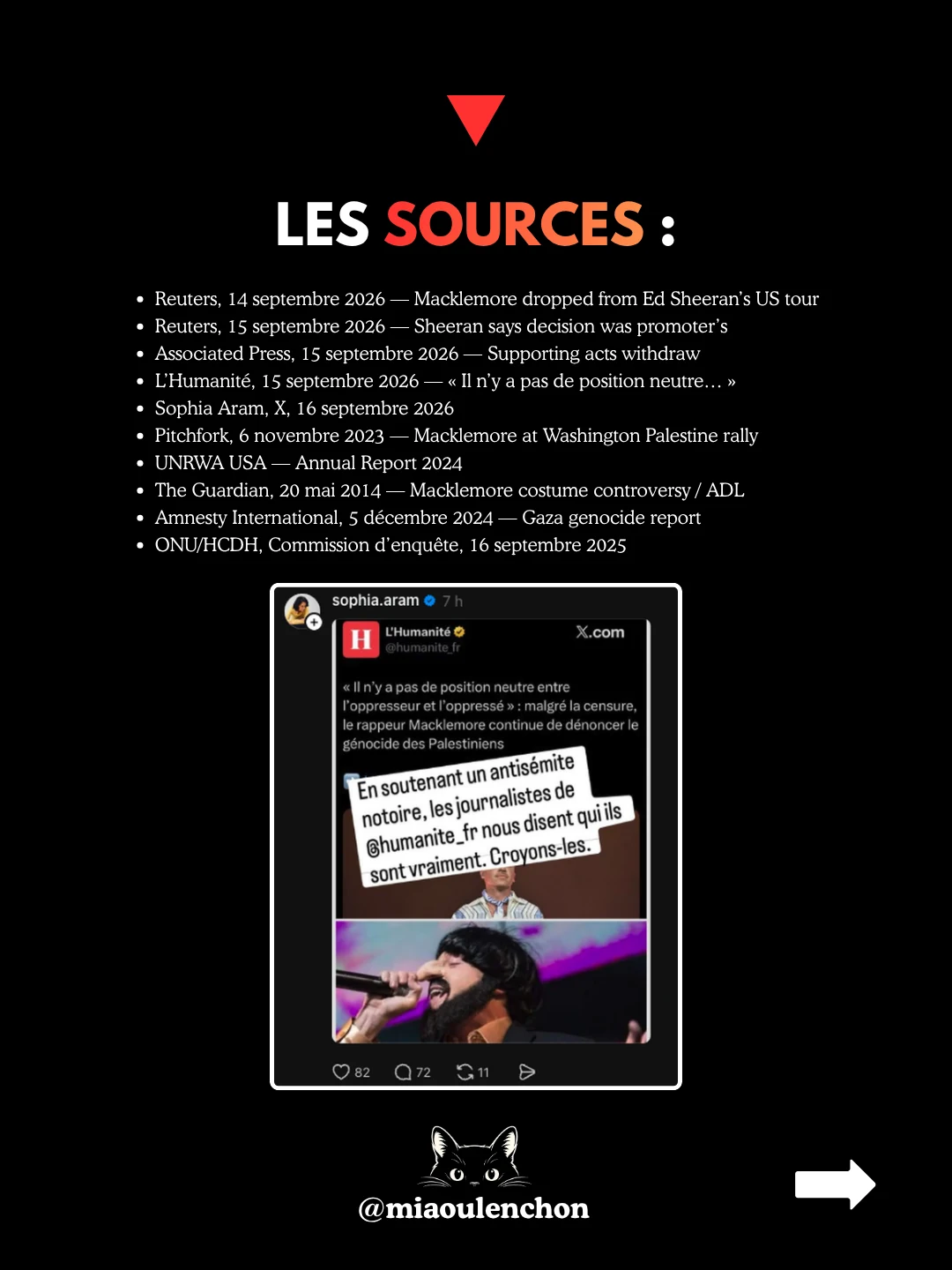 Macklemore : viré pour Gaza — diapositive 19