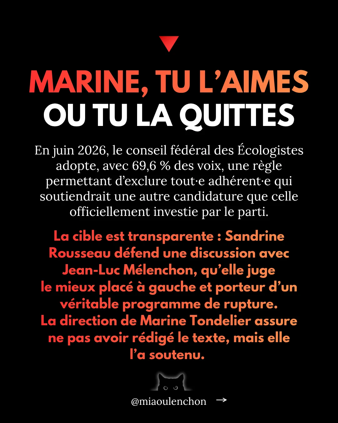Marine Tondelier : la veste et le vide — diapositive 13