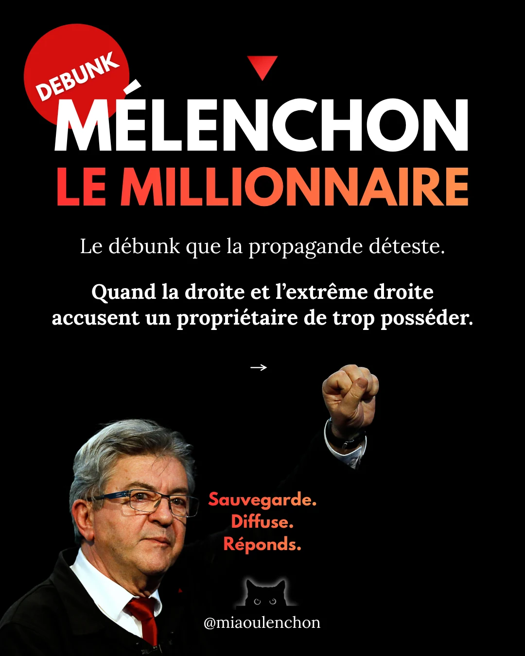 Mélenchon le millionnaire — diapositive 1