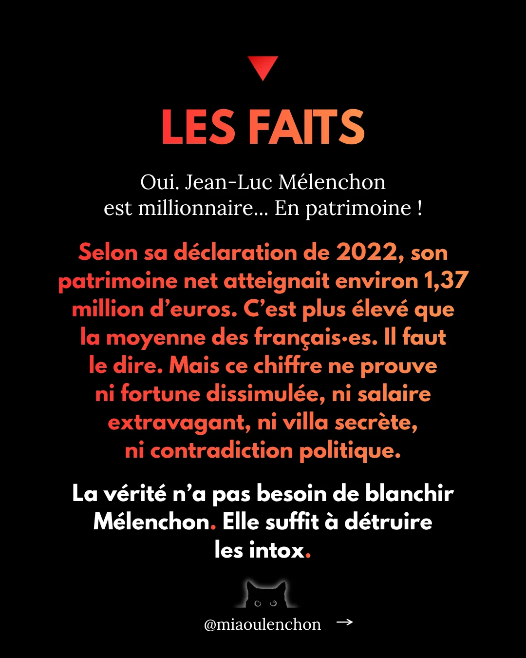 Mélenchon le millionnaire — diapositive 2