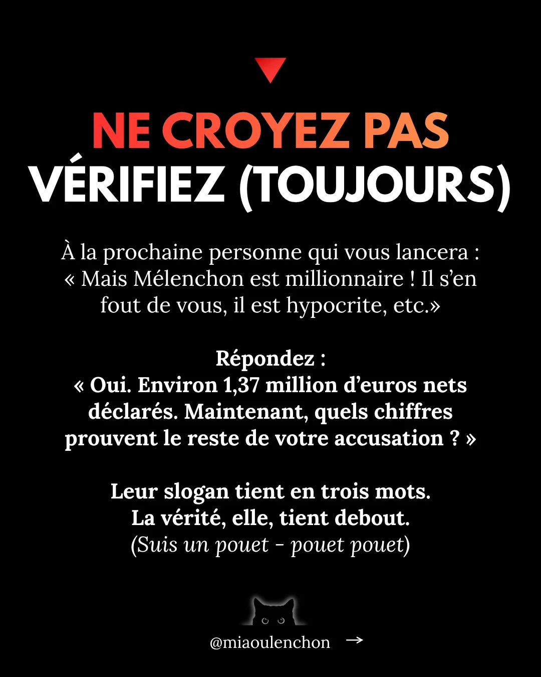 Mélenchon le millionnaire — diapositive 18