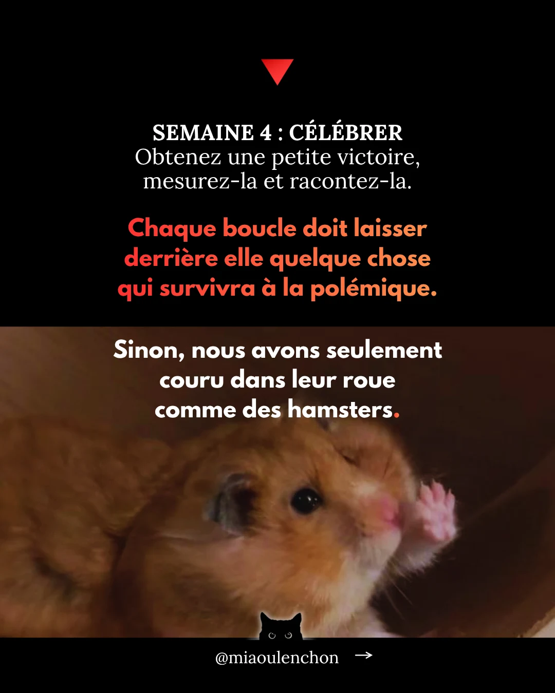 Sortir de leur piège — diapositive 16
