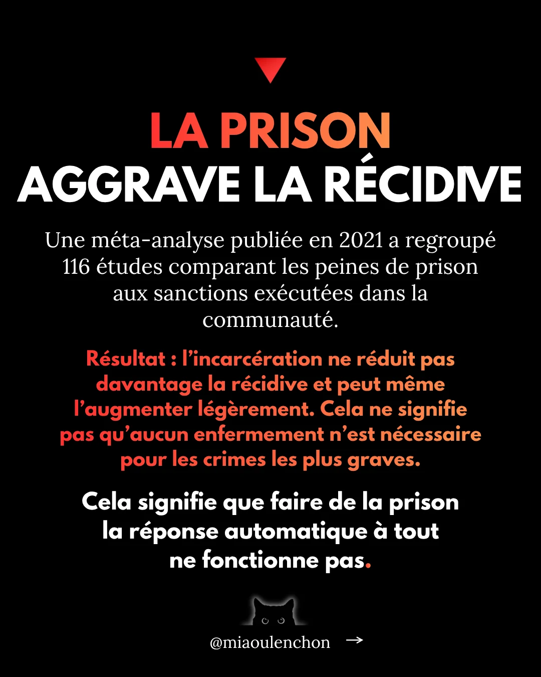 Peine de mort, perpétuité, carcéralisme — diapositive 9