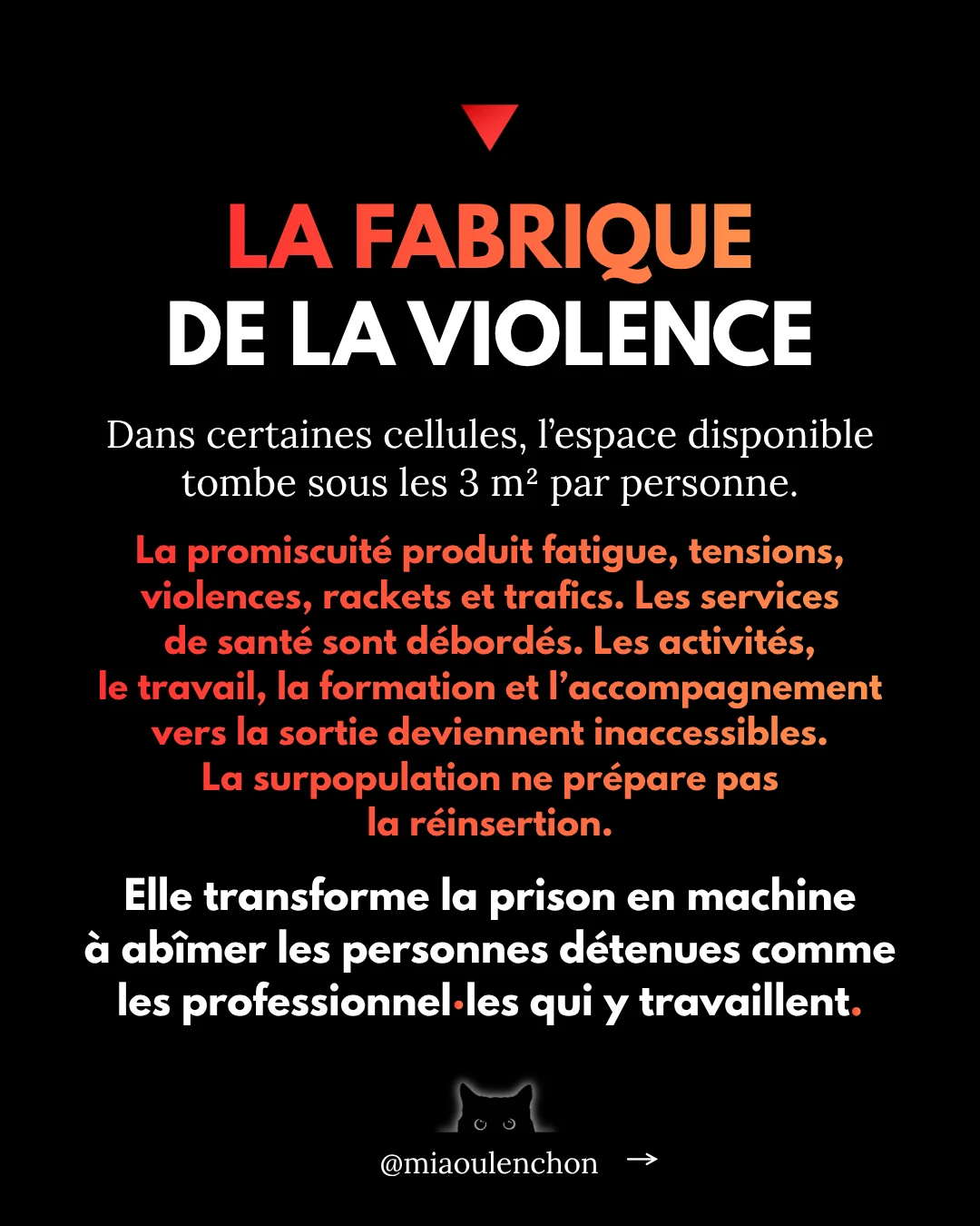 Peine de mort, perpétuité, carcéralisme — diapositive 13