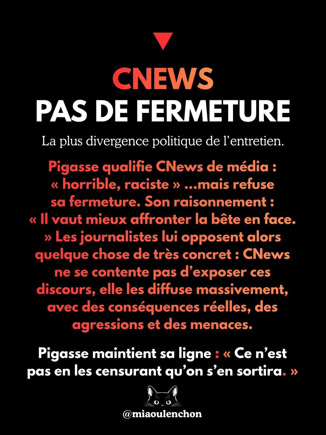 Pigasse enfin sur le grill — diapositive 14