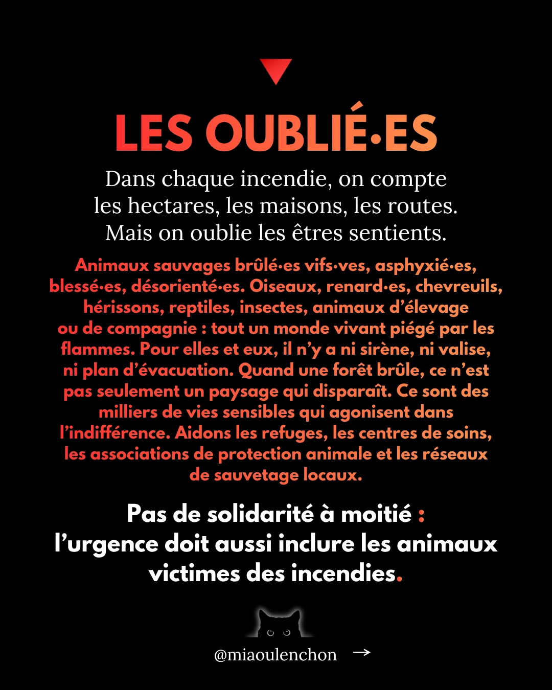 Nos pompiers : comment l’État les laisse mourir — diapositive 14