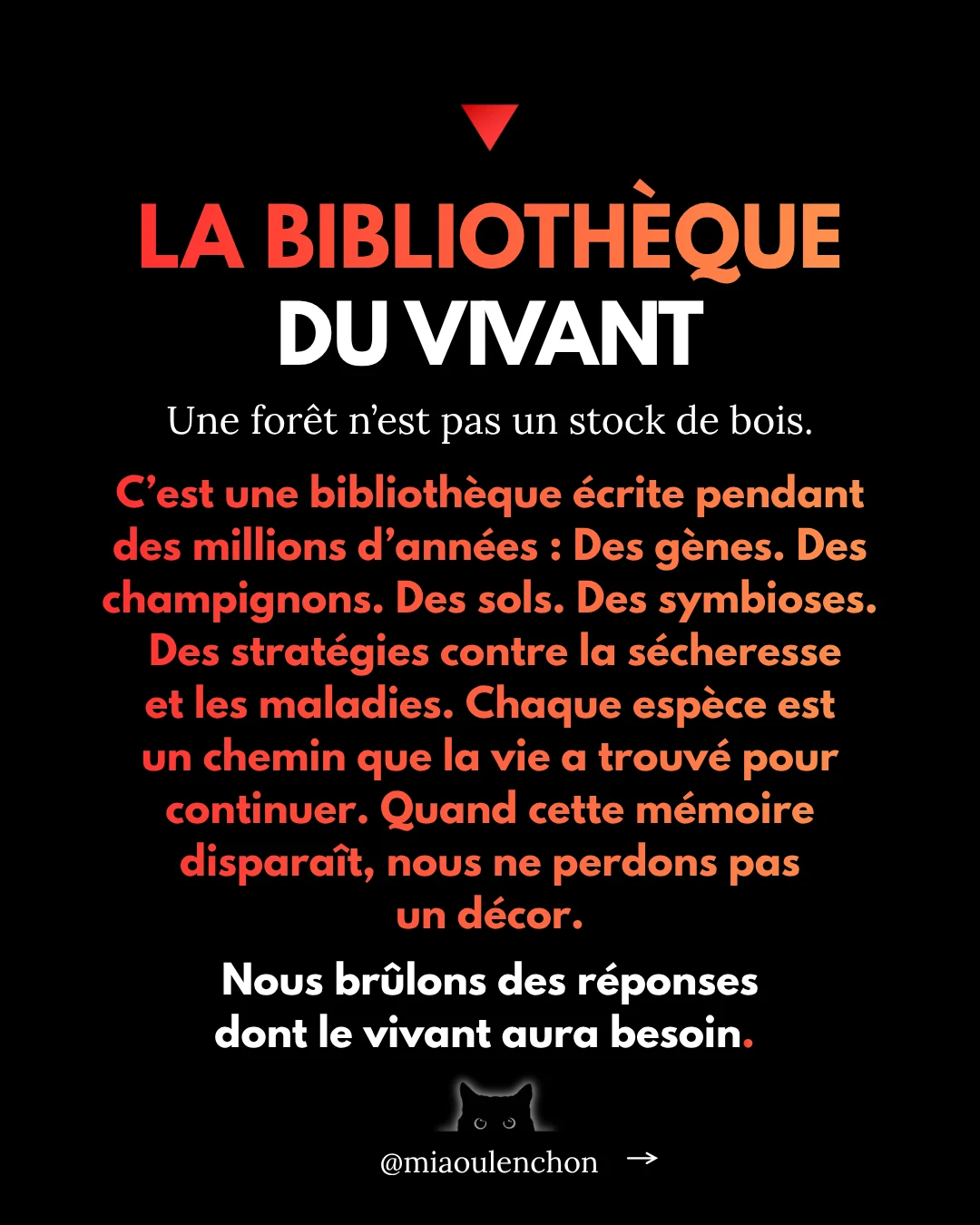 Nos pompiers : comment l’État les laisse mourir — diapositive 15