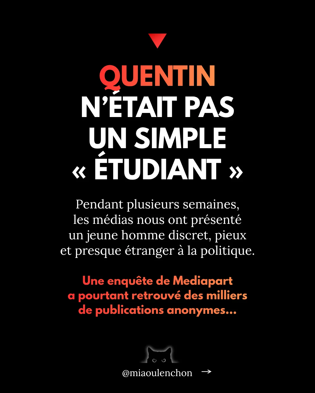 L’affaire Quentin Deranque — diapositive 3