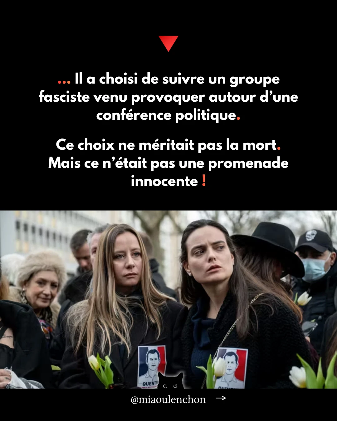 L’affaire Quentin Deranque — diapositive 6