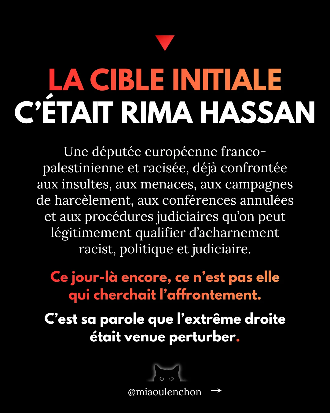 L’affaire Quentin Deranque — diapositive 7