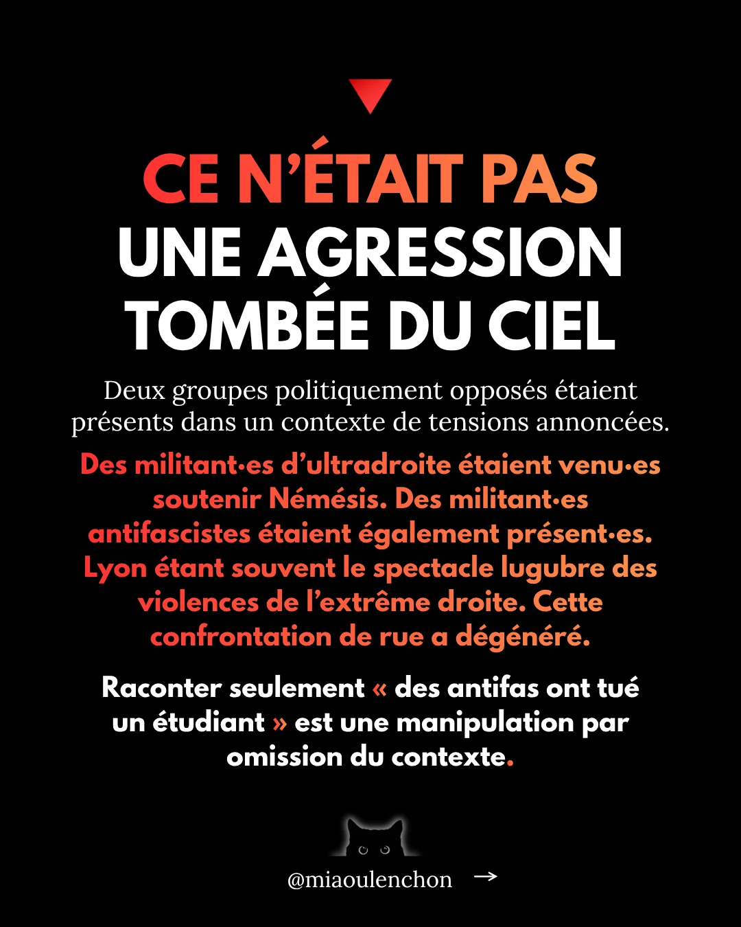 L’affaire Quentin Deranque — diapositive 8