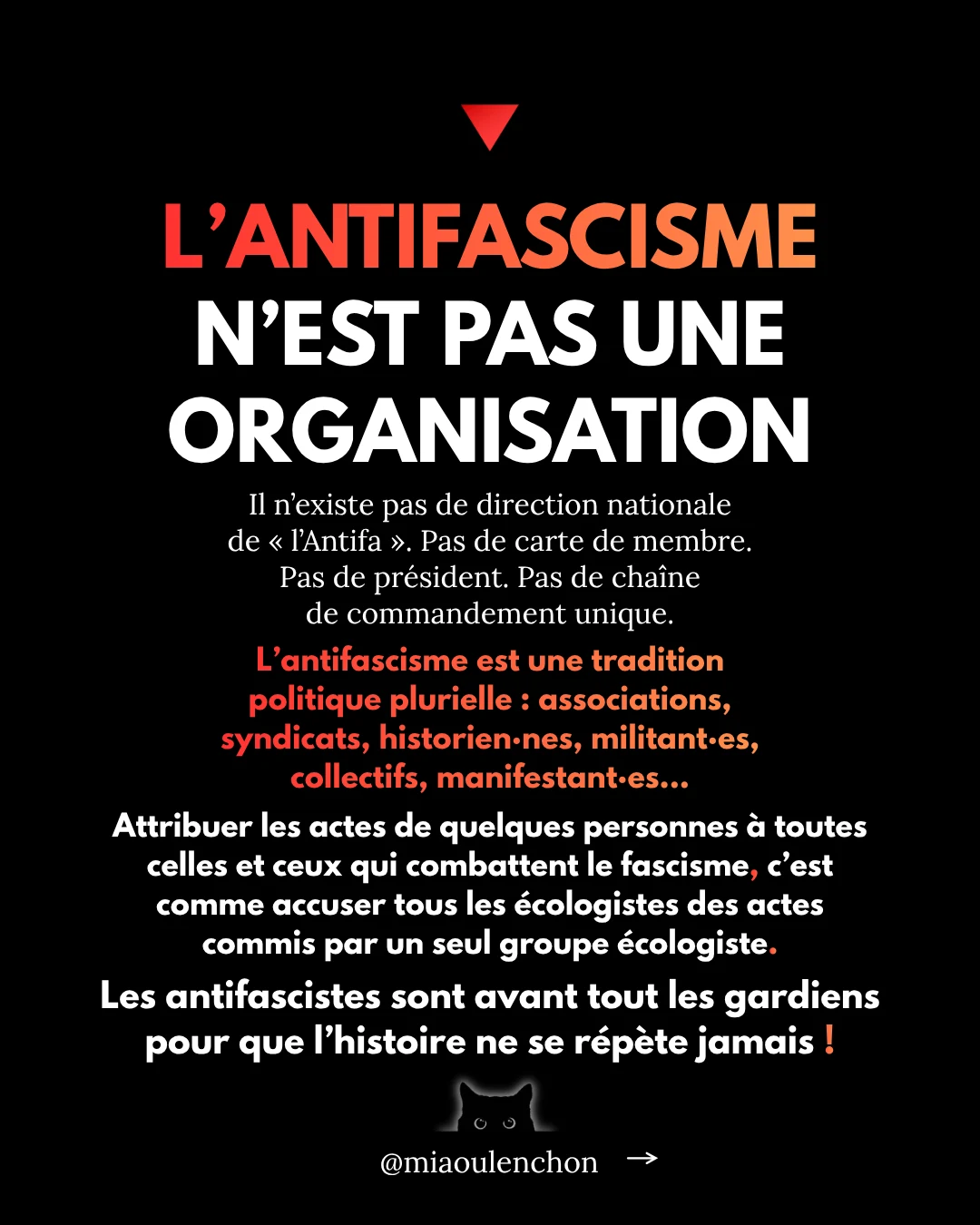 L’affaire Quentin Deranque — diapositive 10