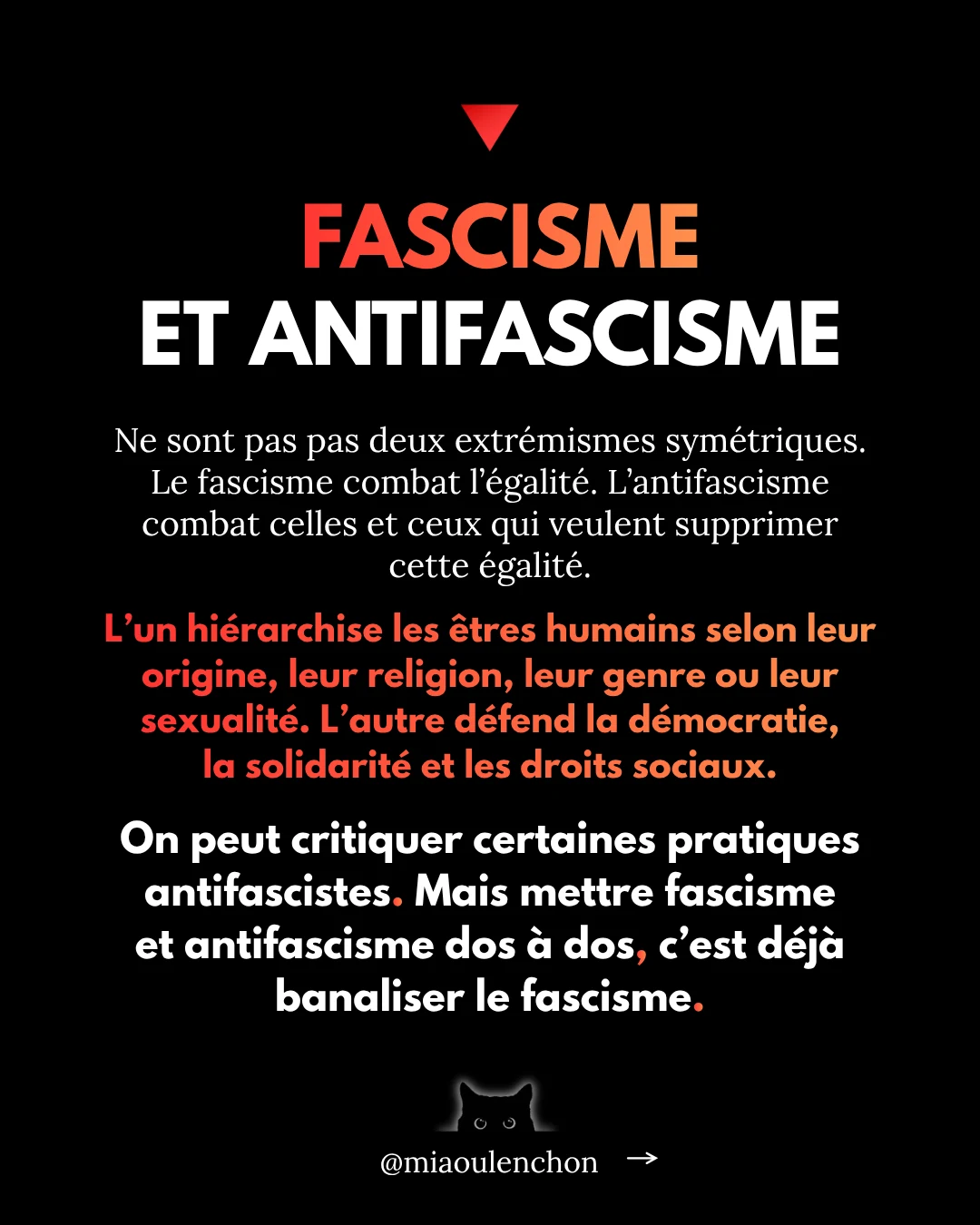 L’affaire Quentin Deranque — diapositive 11