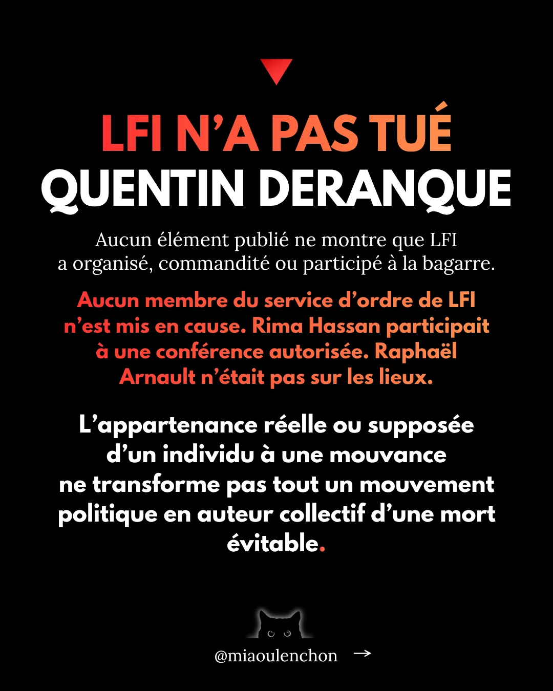 L’affaire Quentin Deranque — diapositive 12