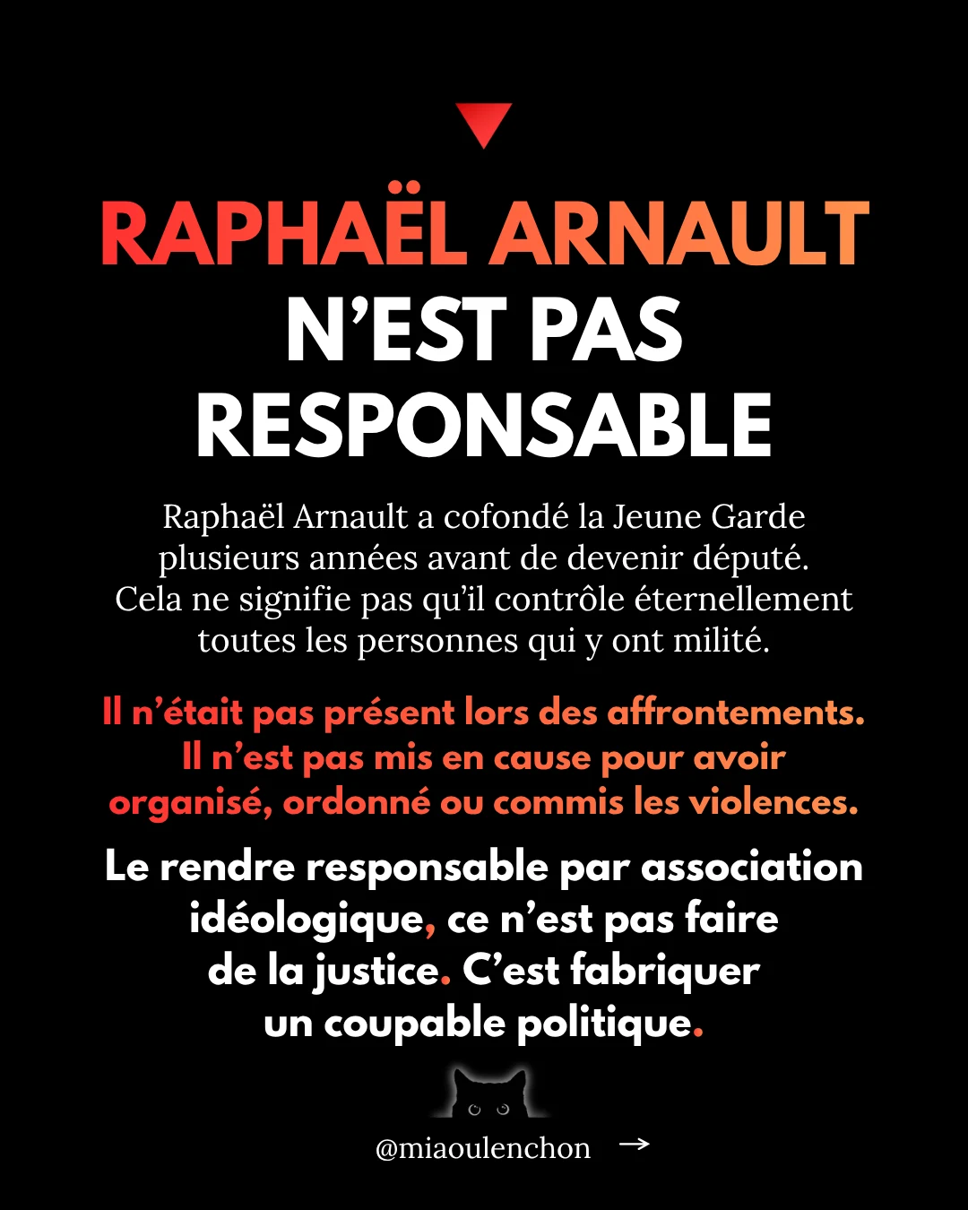 L’affaire Quentin Deranque — diapositive 13