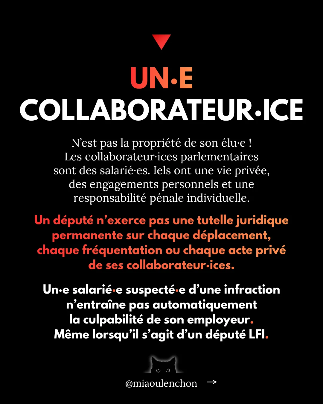 L’affaire Quentin Deranque — diapositive 14