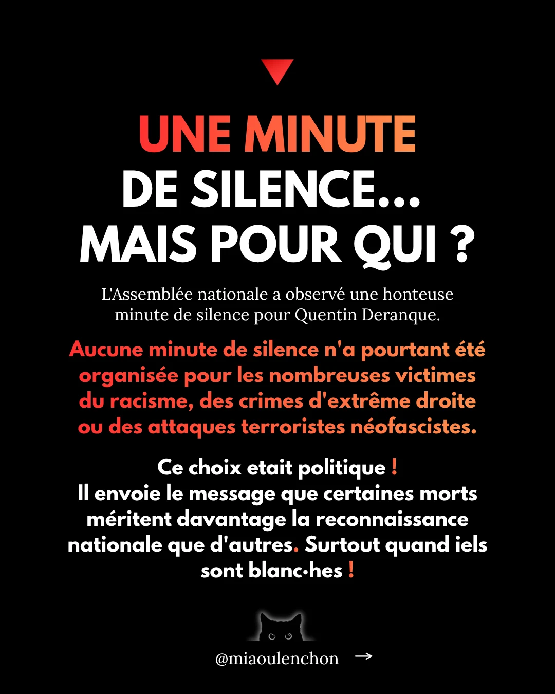 L’affaire Quentin Deranque — diapositive 17