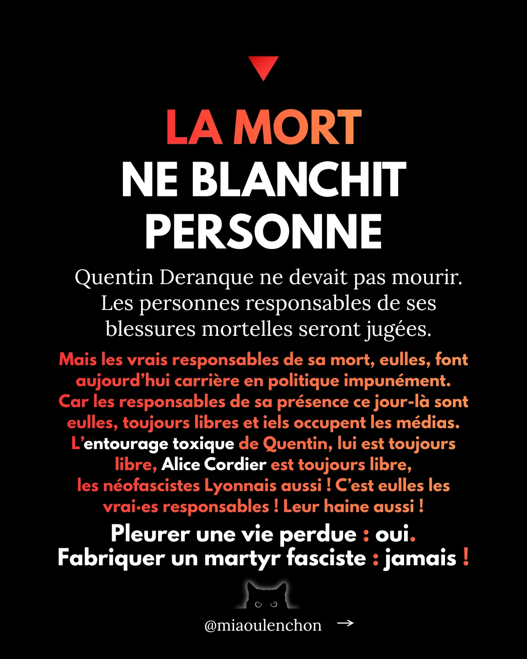 L’affaire Quentin Deranque — diapositive 18