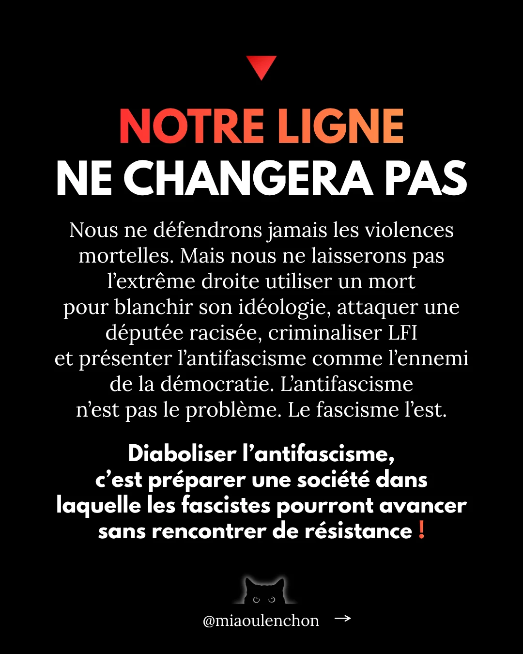 L’affaire Quentin Deranque — diapositive 19