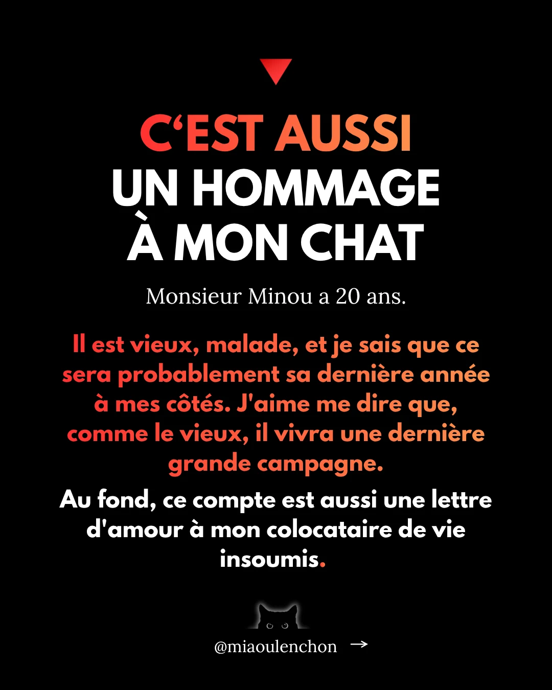 7 000 mercis : vos questions, mes réponses — diapositive 3