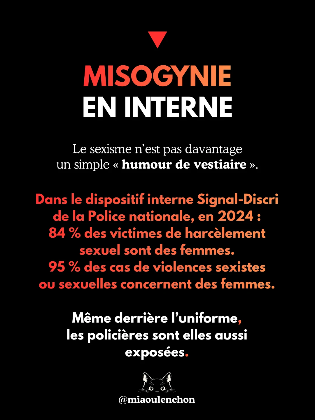 Police : racisme, homophobie, sexisme, transphobie, complotisme et fascisme — diapositive 11