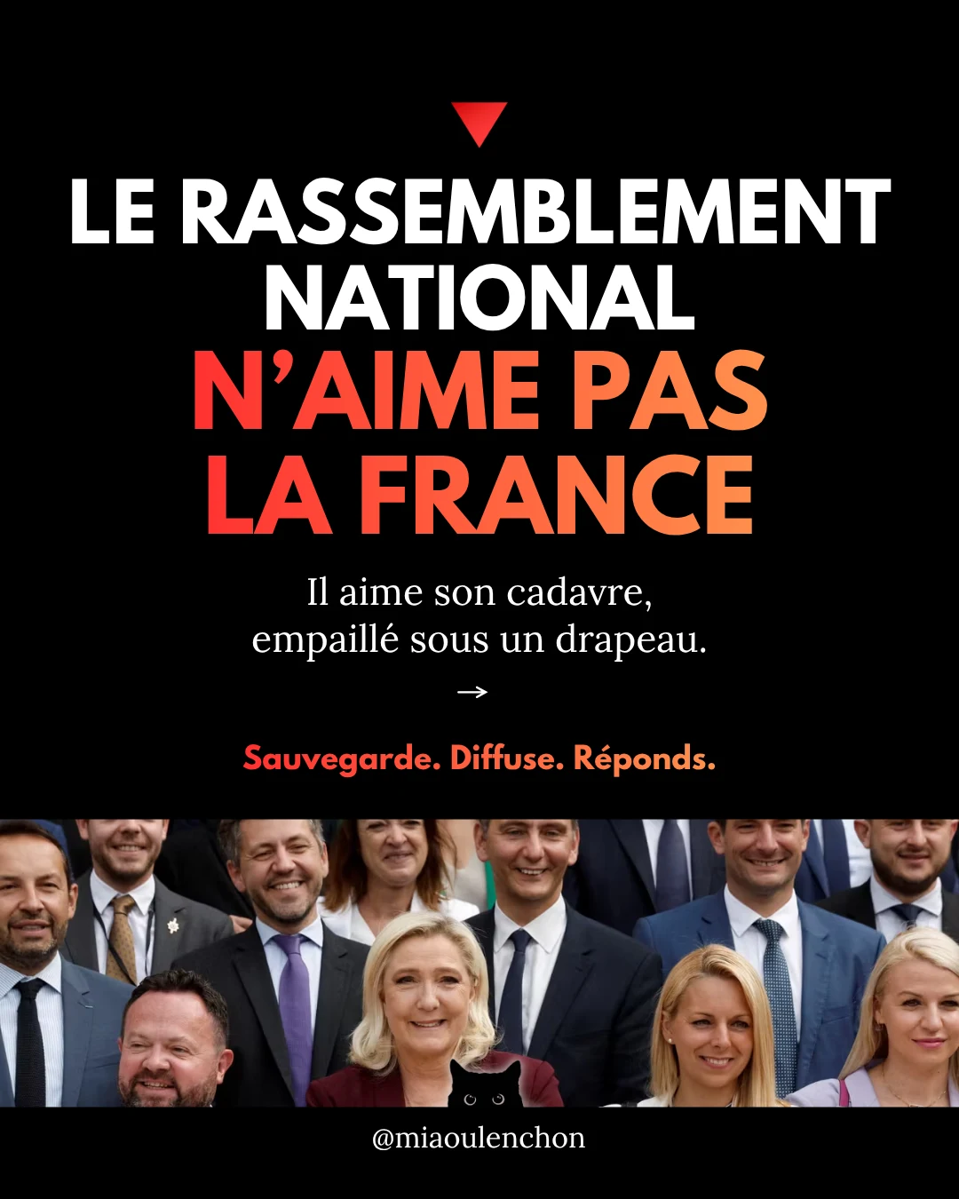 Le Rassemblement national n’aime pas la France — diapositive 1