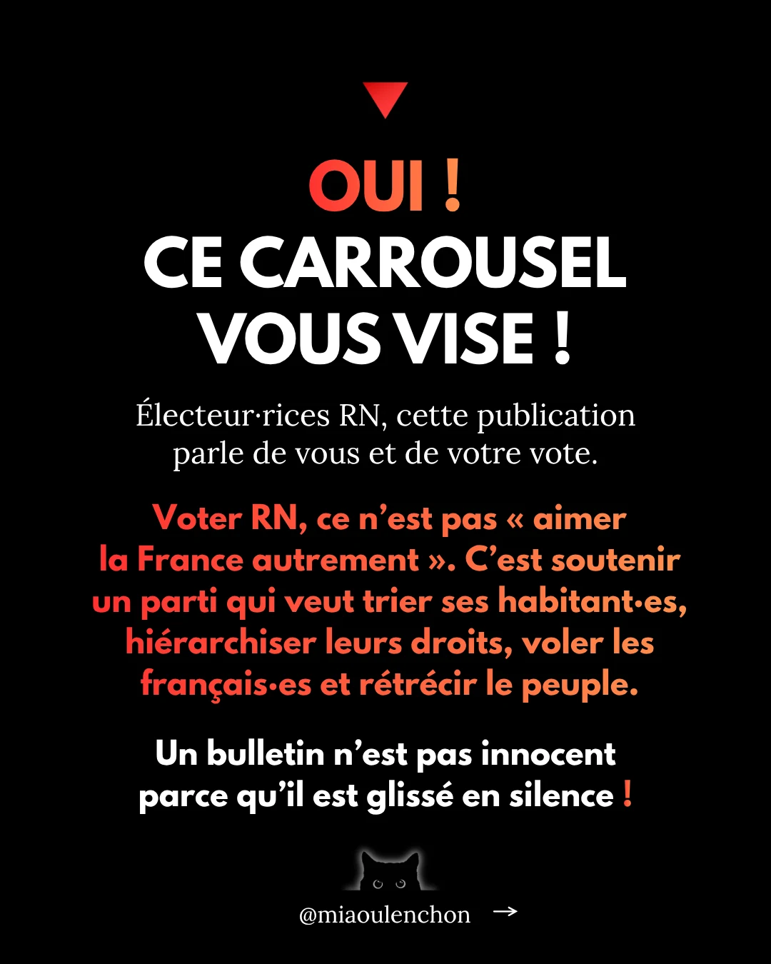 Le Rassemblement national n’aime pas la France — diapositive 2