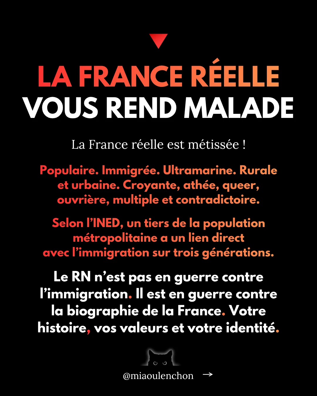 Le Rassemblement national n’aime pas la France — diapositive 3