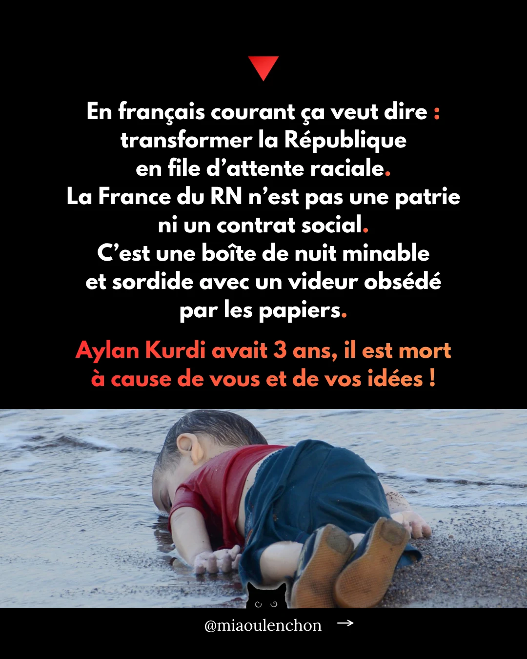 Le Rassemblement national n’aime pas la France — diapositive 5