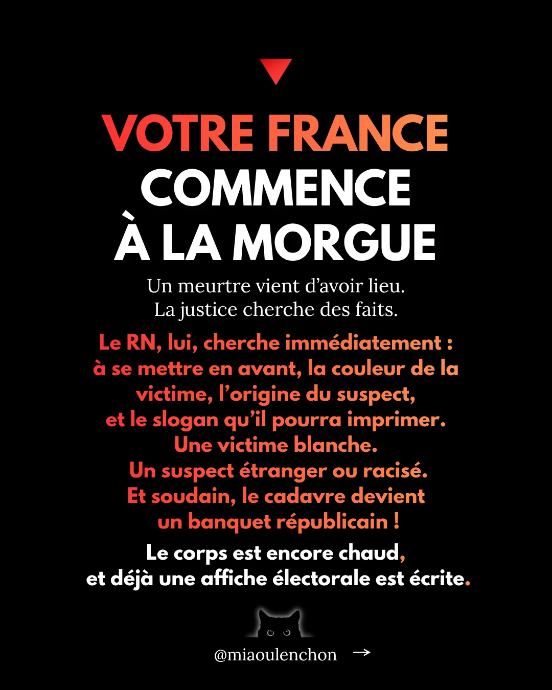 Le Rassemblement national n’aime pas la France — diapositive 6