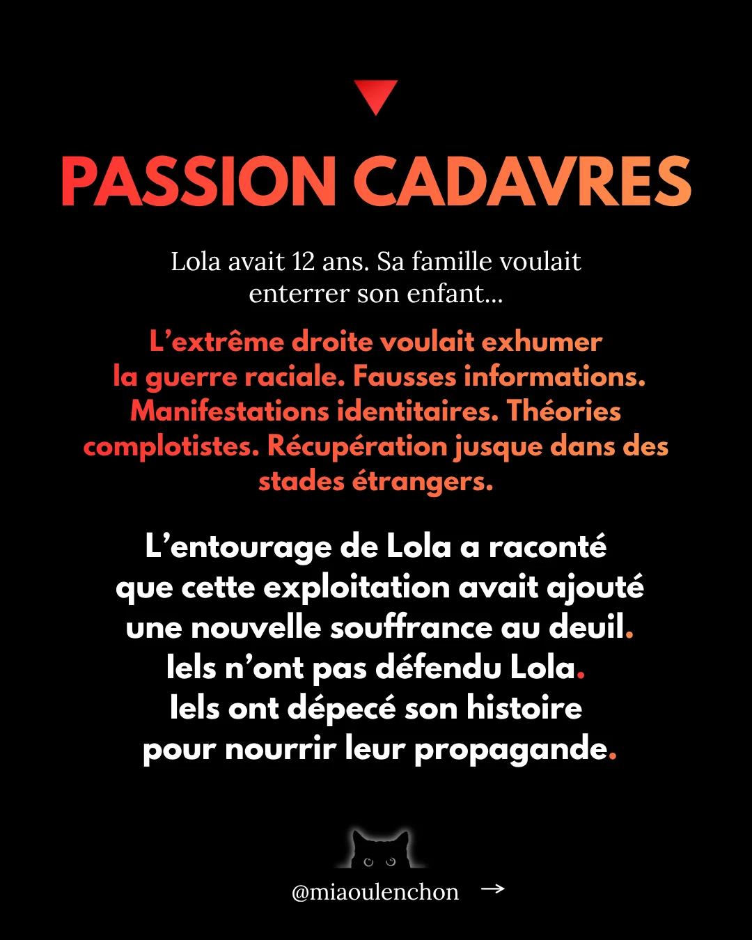 Le Rassemblement national n’aime pas la France — diapositive 7