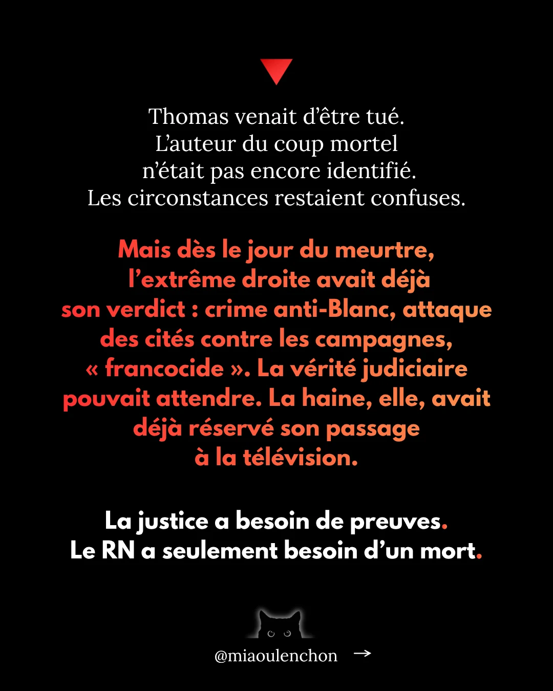 Le Rassemblement national n’aime pas la France — diapositive 8