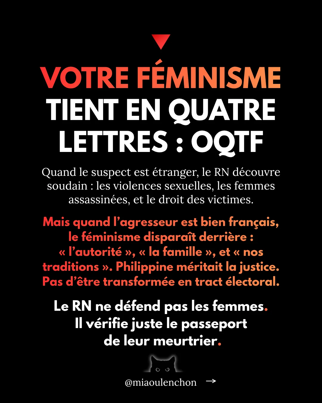Le Rassemblement national n’aime pas la France — diapositive 9